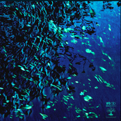 No Digging After Midnight