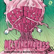 Melting Process Rmx