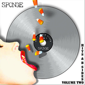 Sponge: Hits and B Sides, Vol. 2