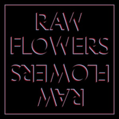 The Big Chill by Raw Flowers