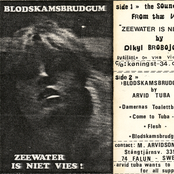 Zeewater Is Niet Vies - Blodkambrudgum