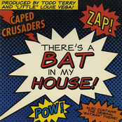 There's A Bat In My House