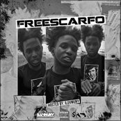 Free Scarfo