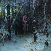 Cold Winter Bonefire