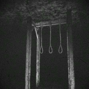 Knotted Ropes, Cold Flesh