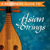 A Beginner's Guide to Asian Strings