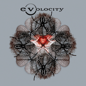 Evol by Evolocity