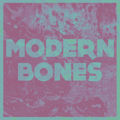 Modern Bones