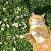 весеннее обострение