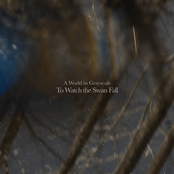 To Watch the Swan Fall