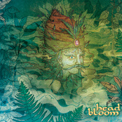 Head Bloom