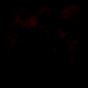 A.Groth Studio Compilation 1