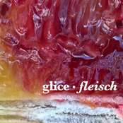 Fleisch