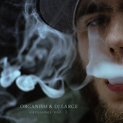 Versioner Vol. 1 (2006)