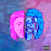 Rose Tints & Winter Blues