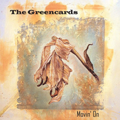 You Pulled Me Out by The Greencards