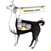 Residential Llama
