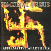 Affirmative Apartheid Album Picture