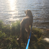 I Hope That Good Things Find You in the End