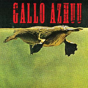 Gallo Azhuu