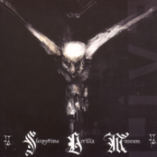 Sleepytime Gorilla Museum: Live