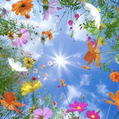 insufferable venal repetitions