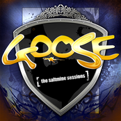 Knock You Down by Goose