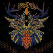 Hyperborean Trenchtown Lp