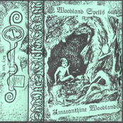 Key XIII: Amaranthine Woodlands