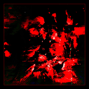The Wound