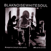 Popgenius / Sal The Swindler