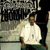 Zoominati