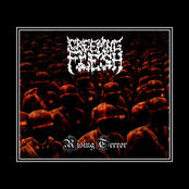 Rising Terror