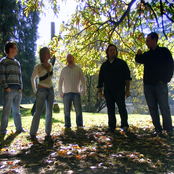 Live at The Cellar Bar