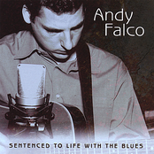 Andy Falco: Sentenced To Life With The Blues