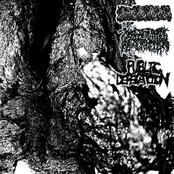 HYPOFERREMIA/PUBLIC DEFECATION SPLIT