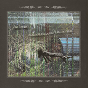 Dragged Through the Garden