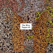 The Wire Tapper 43