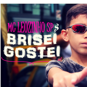 Brisei, Gostei