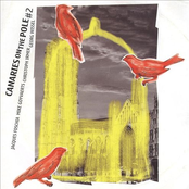 Canaries On The Pole #2
