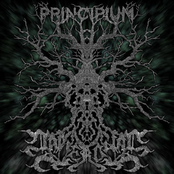 Principium