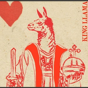 Serving the Multiverse