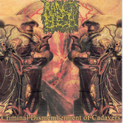 agamenon project / rancid flesh