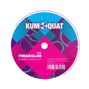 Simpletech Spintronic EP