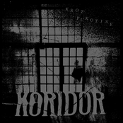 Kroz pukotine