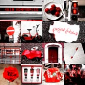 Projekt: Fortschritt