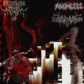 bleeding out in the bathroom