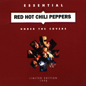 Search And Destroy by Red Hot Chili Peppers
