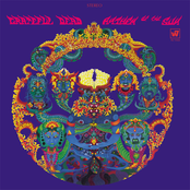 Caution (do Not Stop On Tracks) by Grateful Dead