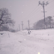 for what ive done and failed to do im sorry